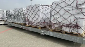 “الفارس الشهم 3” يواصل تسيير “جسر حميد الجوي” لإغاثة قطاع غزة بـ100 طن من الإمدادات الغذائية